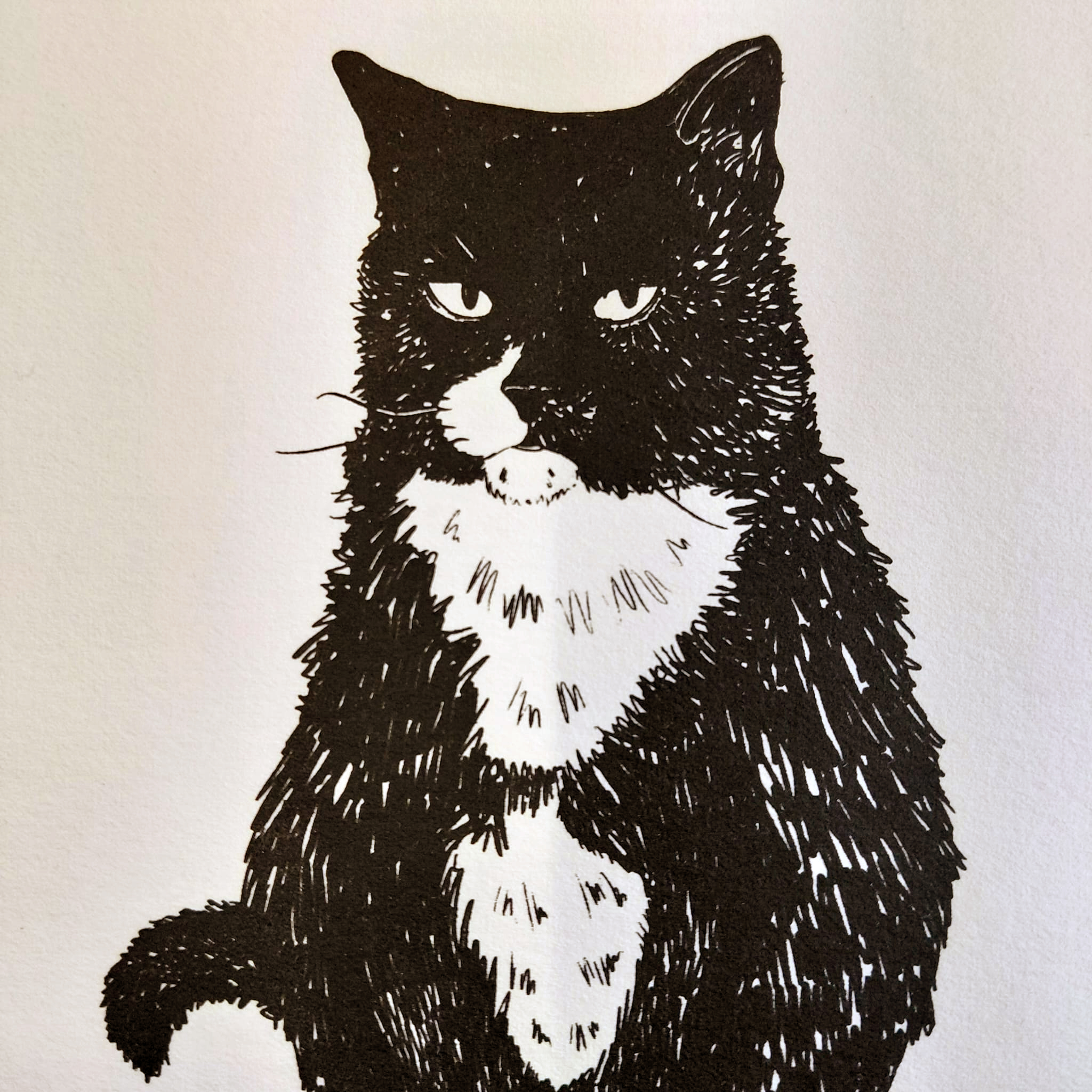 iNKIDOT - Macavity 2